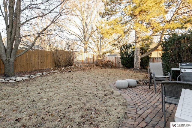 view of yard featuring a patio