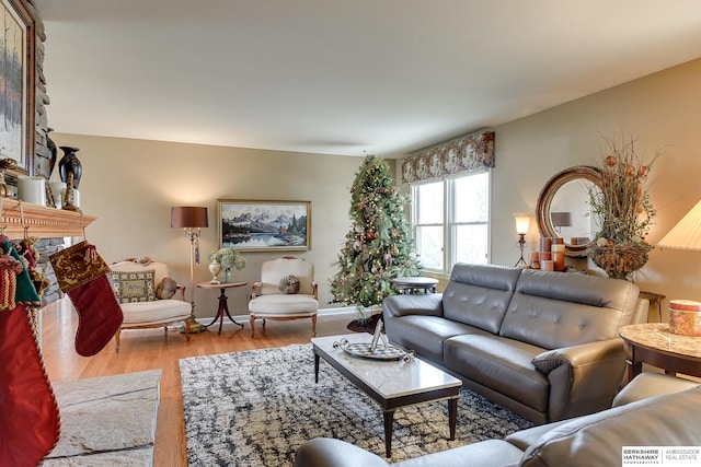 living room featuring a fireplace and light hardwood / wood-style flooring