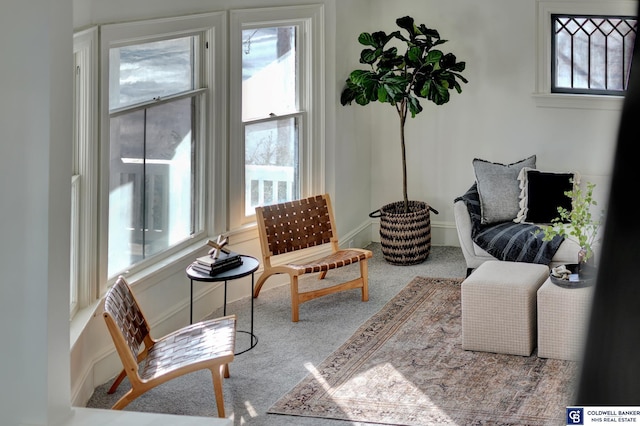 sitting room featuring carpet floors