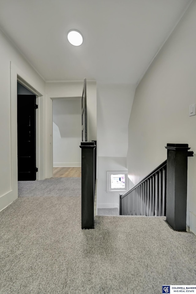 staircase featuring carpet