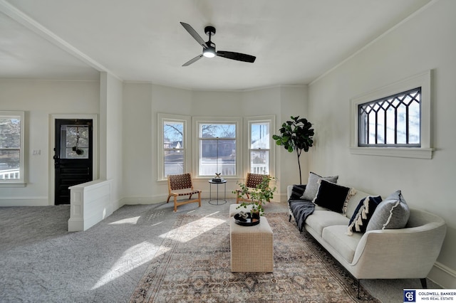 carpeted living room featuring crown molding and ceiling fan