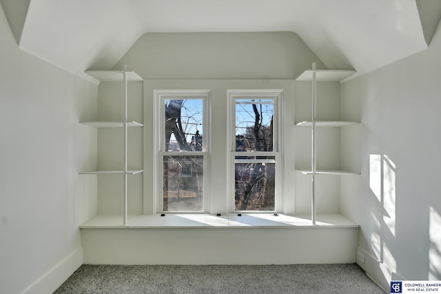 interior space featuring vaulted ceiling