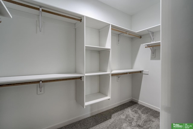 spacious closet with carpet floors