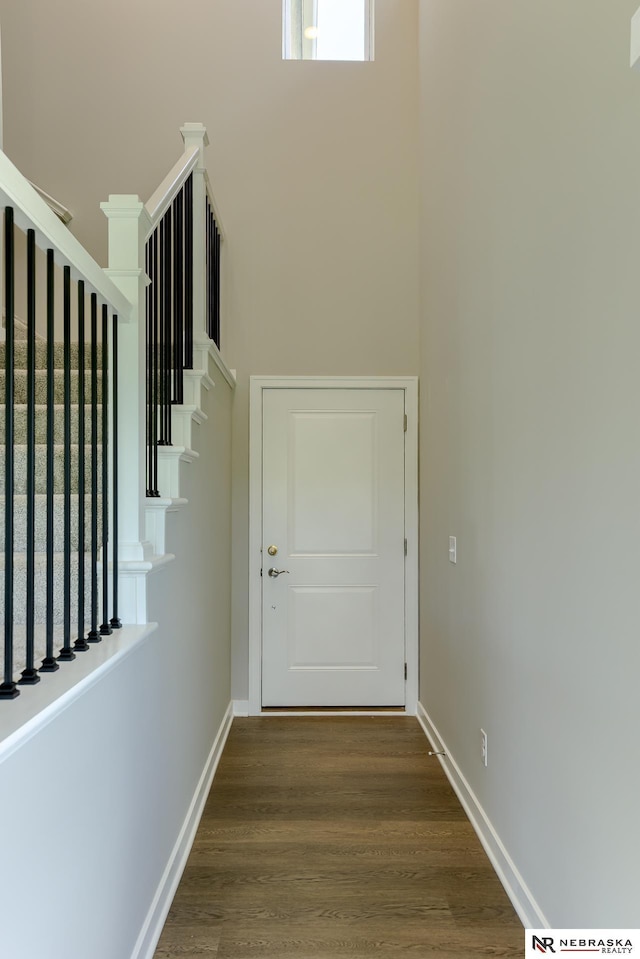 doorway featuring hardwood / wood-style flooring and a towering ceiling