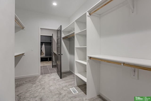 spacious closet with carpet flooring