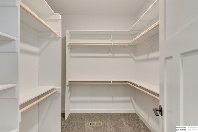 walk in closet featuring carpet