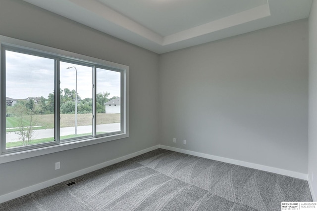 spare room with a tray ceiling and carpet floors