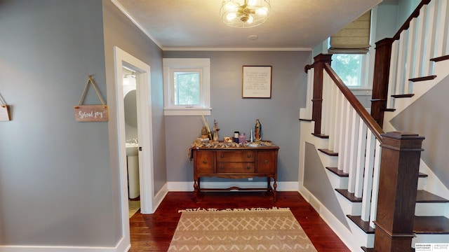 entrance foyer with crown molding and dark wood-type flooring