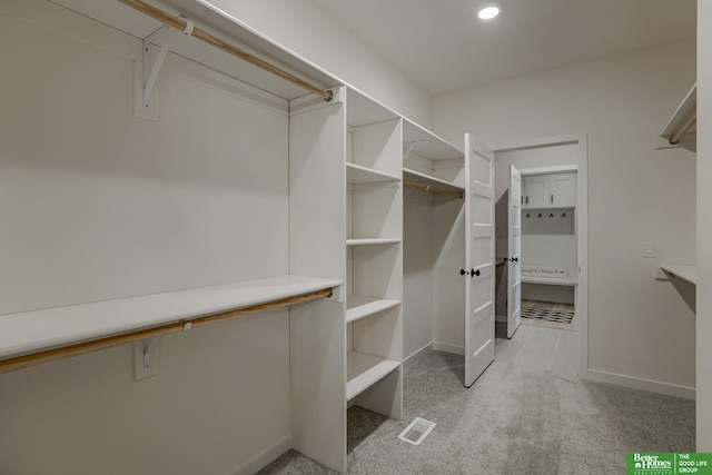 spacious closet featuring light colored carpet