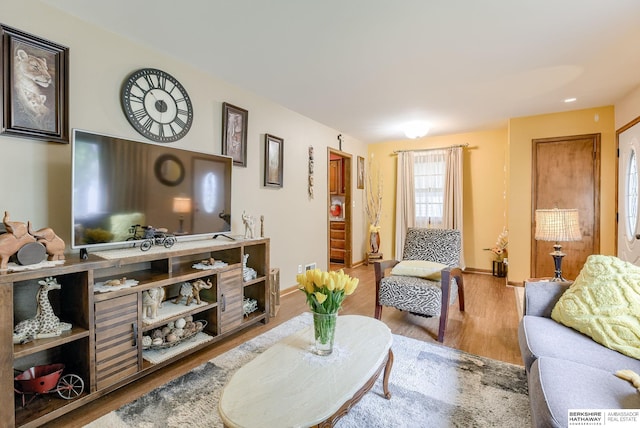 living room with light hardwood / wood-style flooring