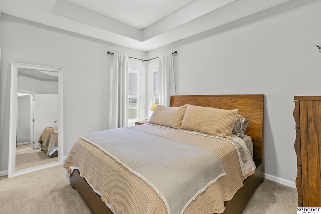 bedroom featuring a raised ceiling and carpet flooring