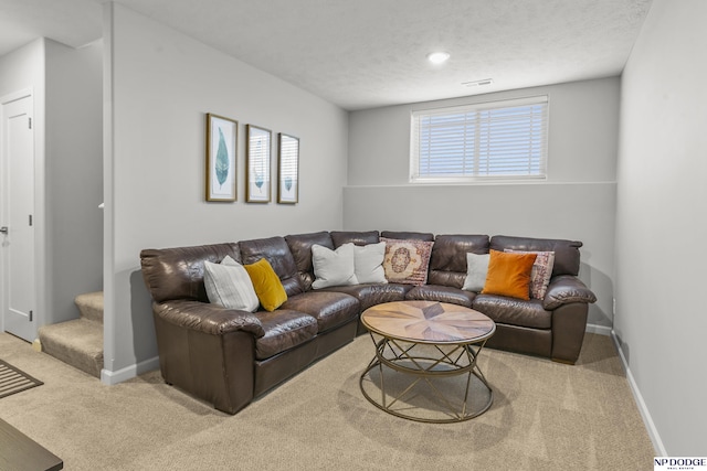 living room with carpet flooring and a textured ceiling