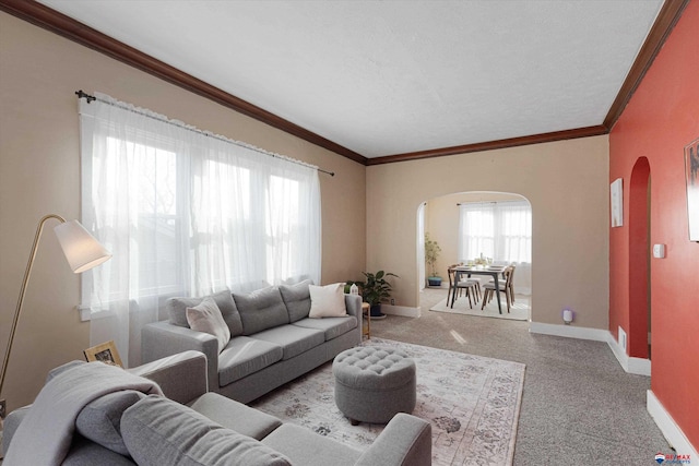 living room featuring crown molding and carpet flooring