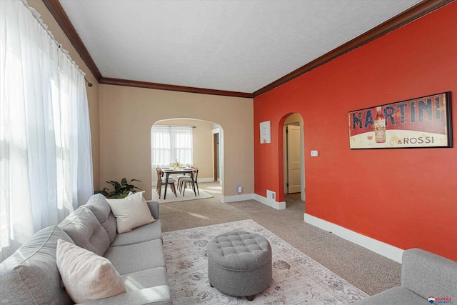 carpeted living room with ornamental molding