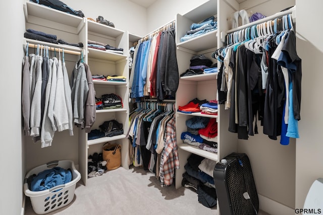 walk in closet with carpet floors