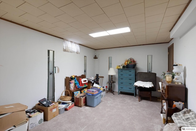 interior space featuring ornamental molding and light colored carpet