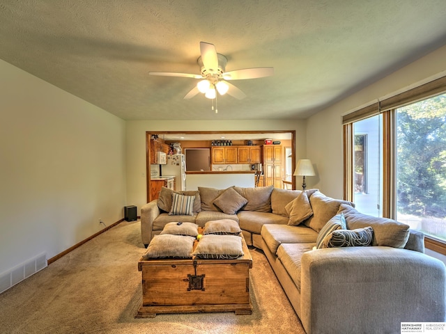 carpeted living room with ceiling fan and a textured ceiling