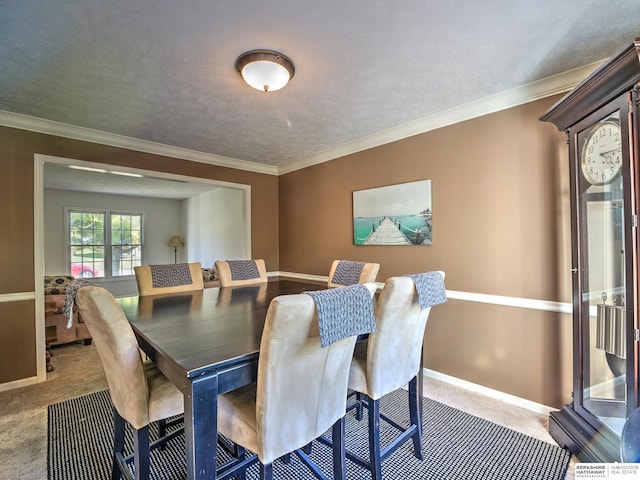 carpeted dining room with crown molding and a textured ceiling