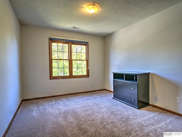 empty room featuring light colored carpet and a textured ceiling