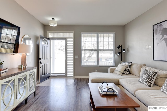 living room with dark hardwood / wood-style flooring and a wealth of natural light