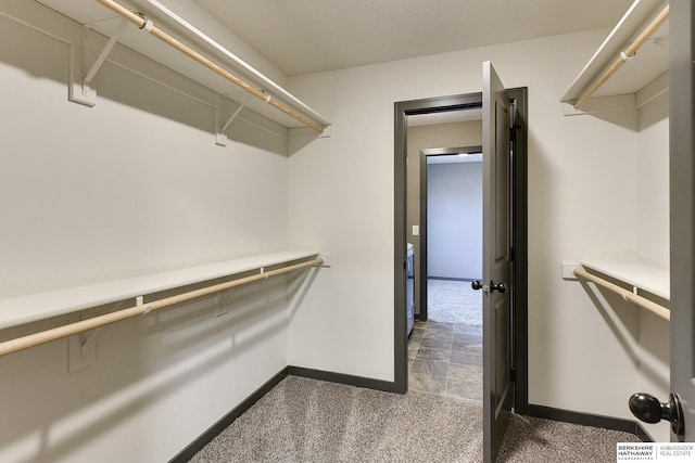 walk in closet featuring carpet flooring