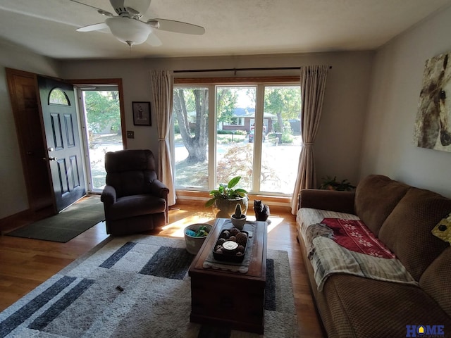 living room featuring hardwood / wood-style floors, a healthy amount of sunlight, and ceiling fan