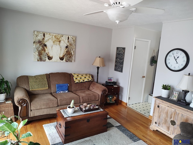 living room with ceiling fan and light wood-type flooring