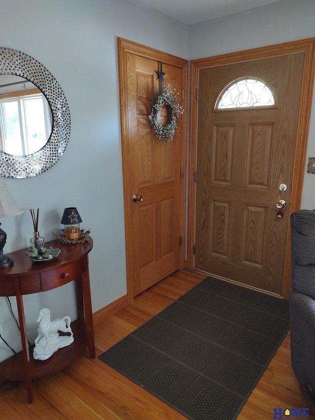 entryway with wood-type flooring