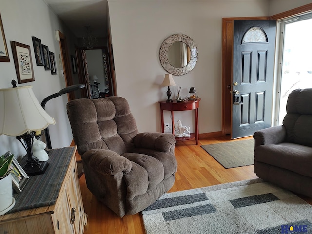 living room featuring wood-type flooring