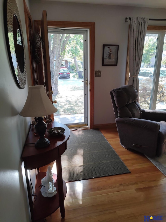 doorway to outside with a wealth of natural light and light hardwood / wood-style floors