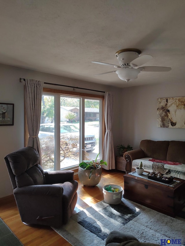 living room featuring hardwood / wood-style flooring and ceiling fan