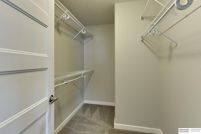 walk in closet featuring dark carpet