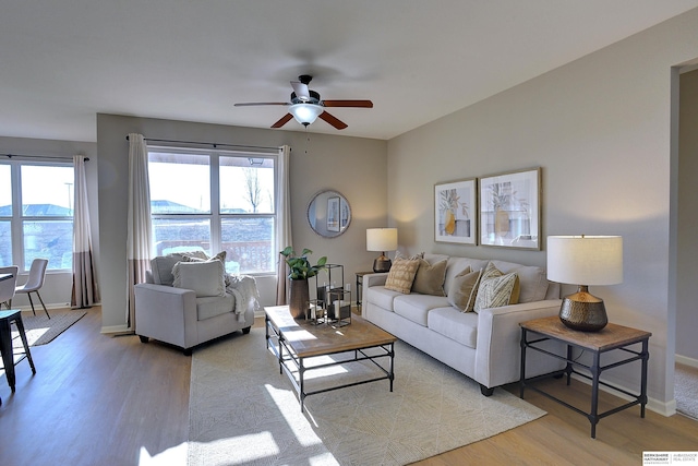 living room with ceiling fan and light hardwood / wood-style flooring