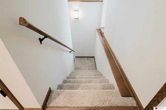 staircase with carpet floors