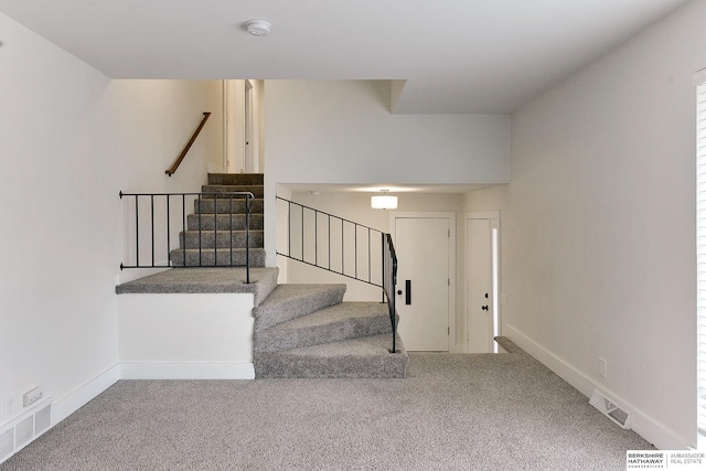 stairway featuring carpet flooring