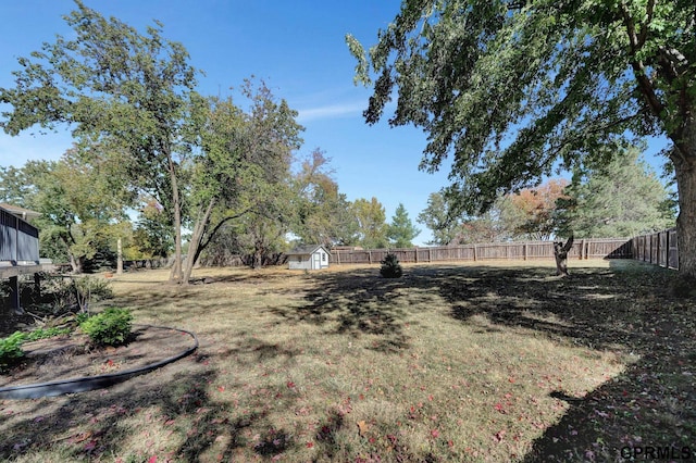 view of yard featuring a storage unit