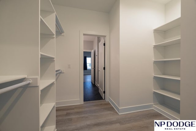 walk in closet featuring hardwood / wood-style floors