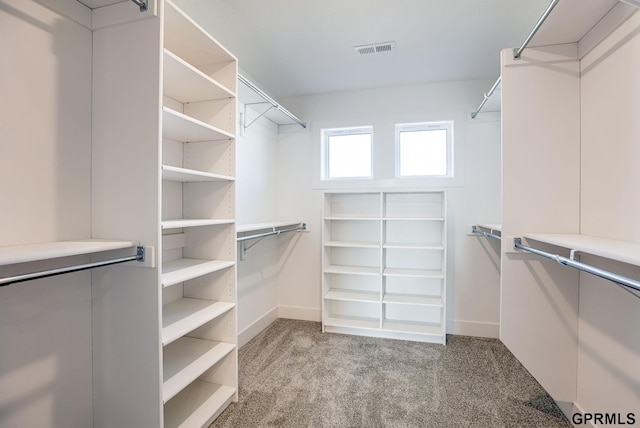 spacious closet featuring light colored carpet