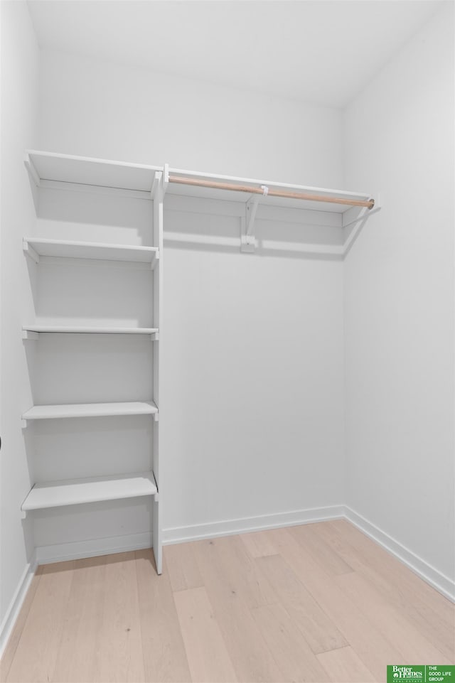 spacious closet featuring wood-type flooring