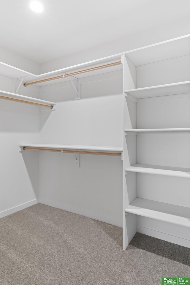 walk in closet featuring carpet floors