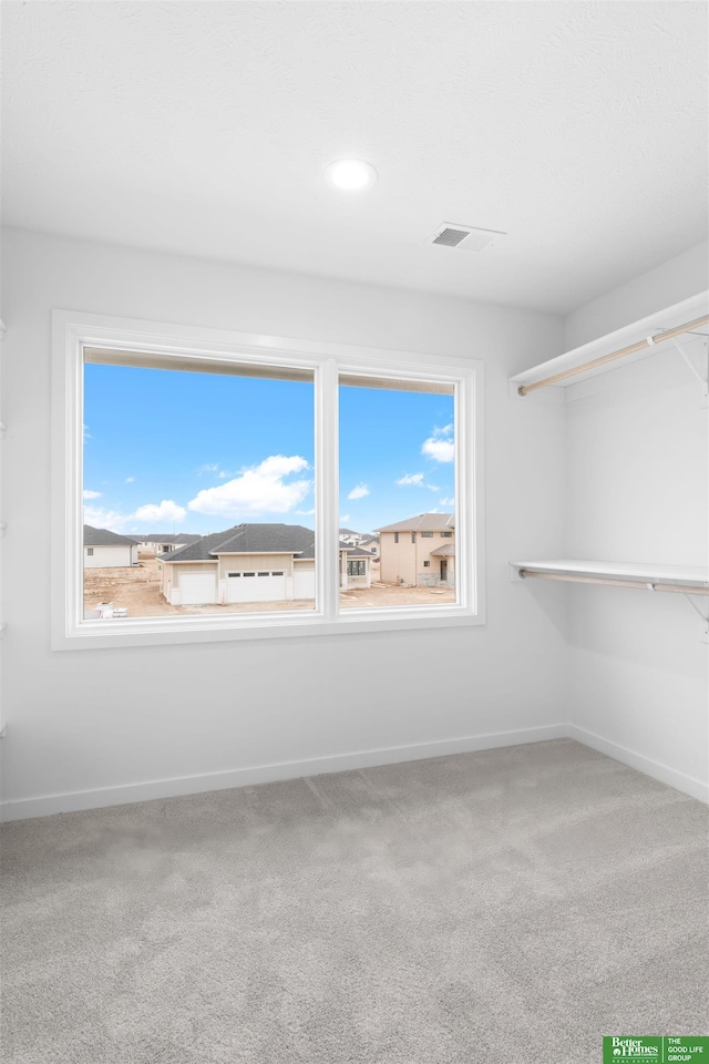 spacious closet featuring carpet flooring