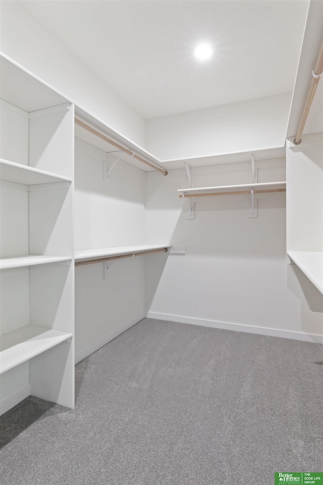 walk in closet with carpet floors