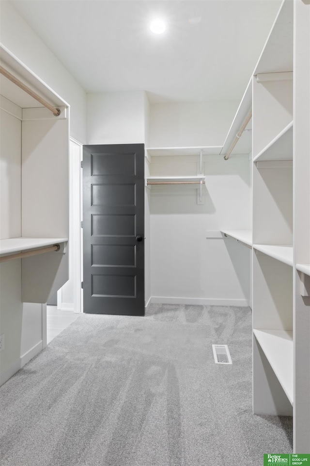 spacious closet with light colored carpet