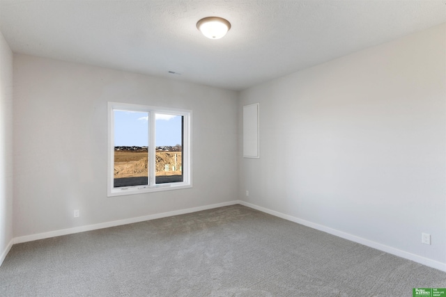 spare room featuring carpet floors