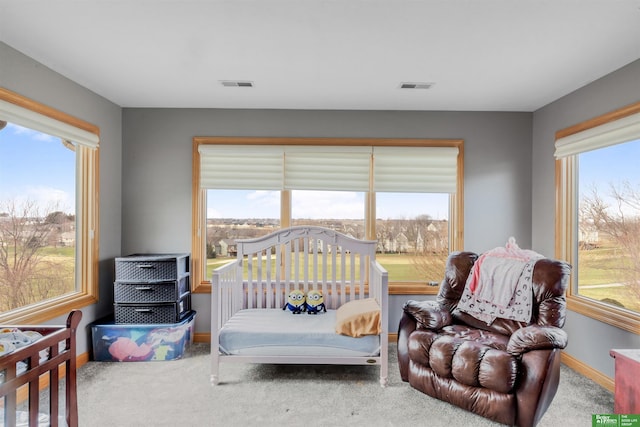 bedroom featuring carpet floors