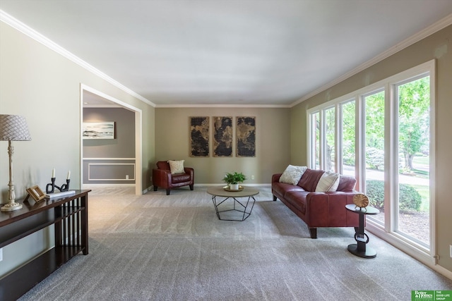 living room with crown molding and light colored carpet