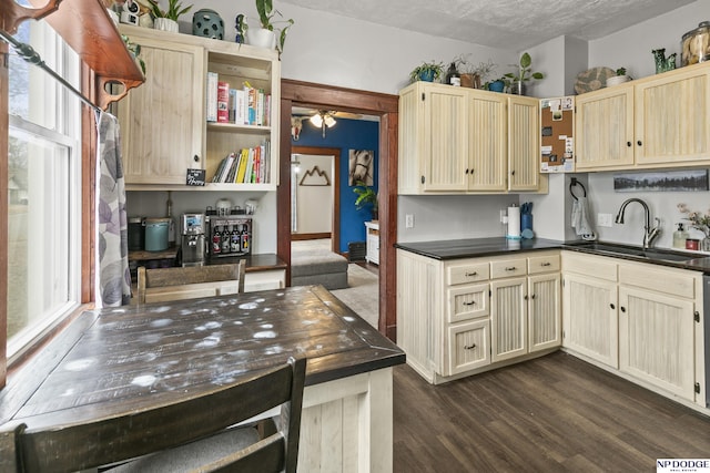 kitchen with sink, dark hardwood / wood-style floors, and ceiling fan