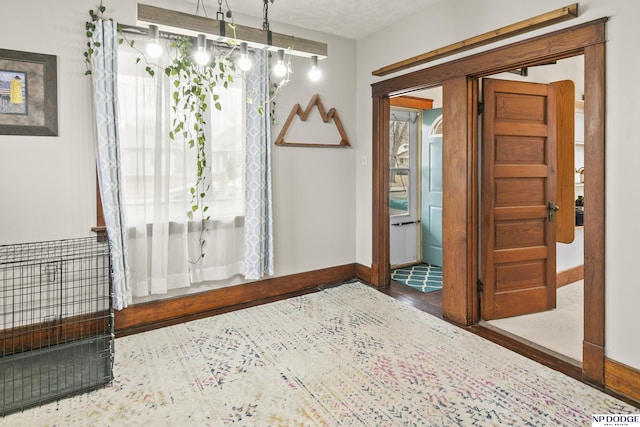 entryway featuring hardwood / wood-style floors