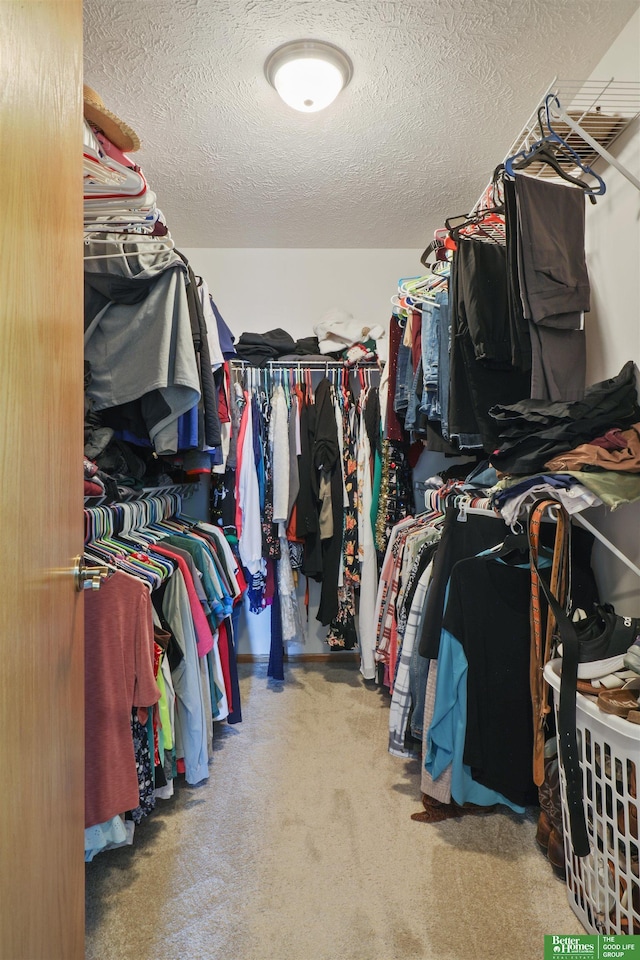 walk in closet featuring carpet flooring