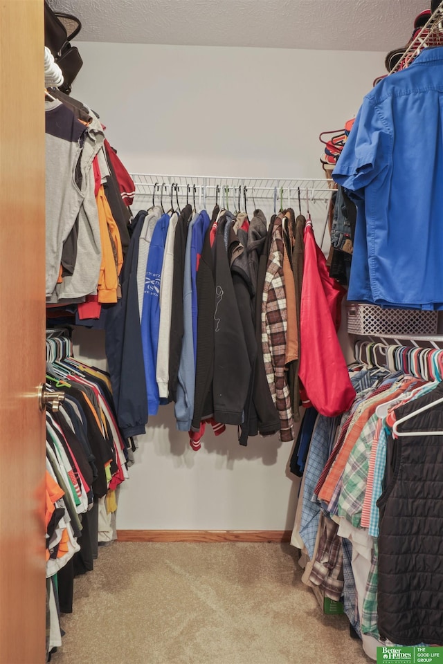 spacious closet featuring carpet